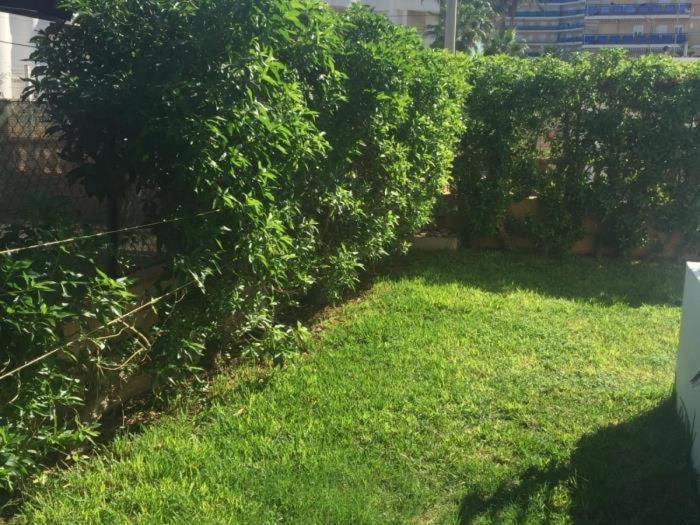 Acogedor Con Terraza Y Jardin Apartment Denia
